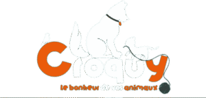 Croquy