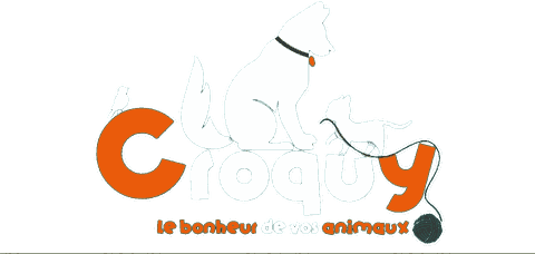 Croquy